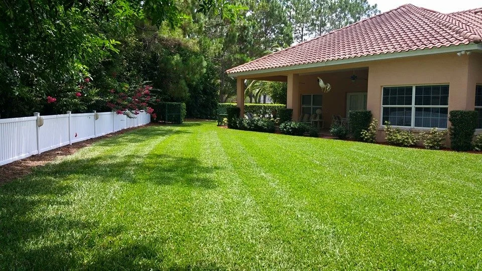Lush green lawn beside a house