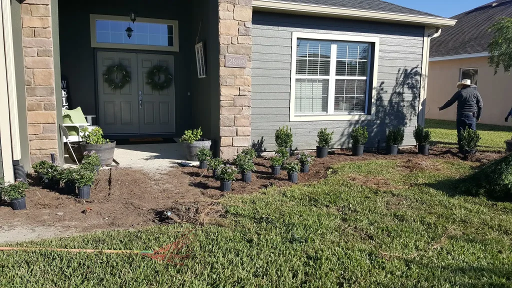 House entrance with newly planted shrubs.