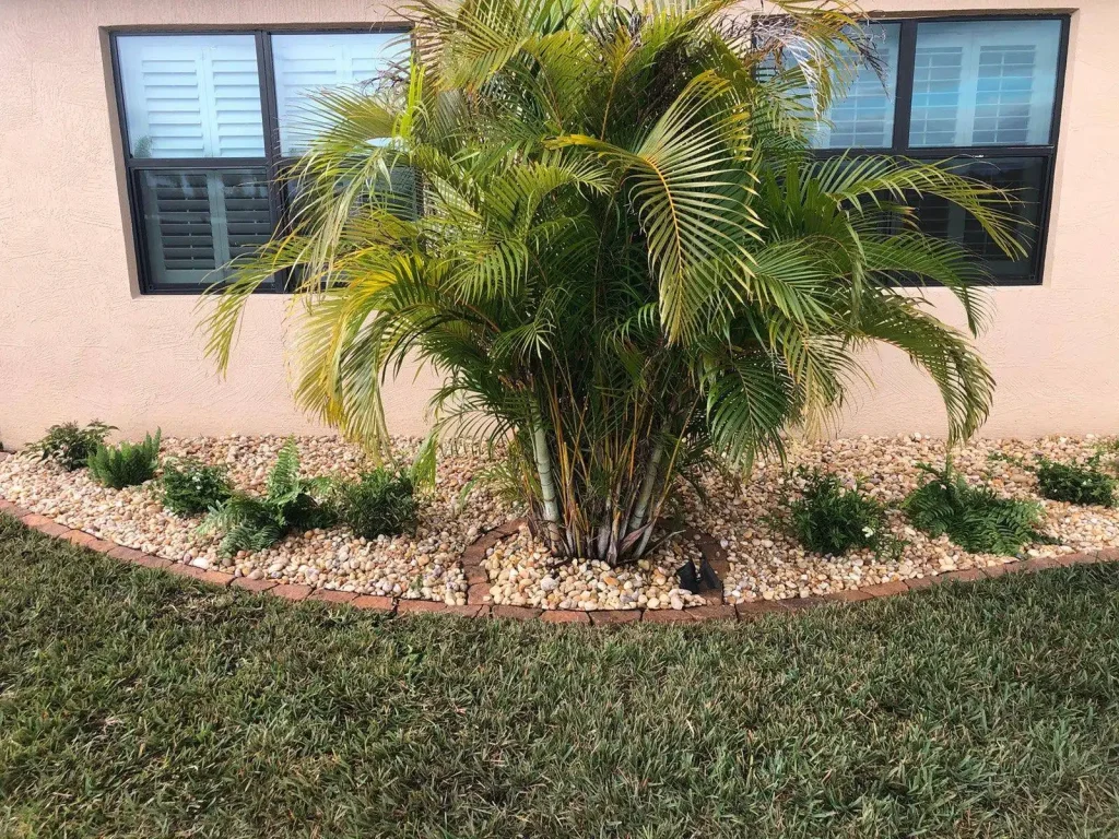 Tropical plants with decorative stones.