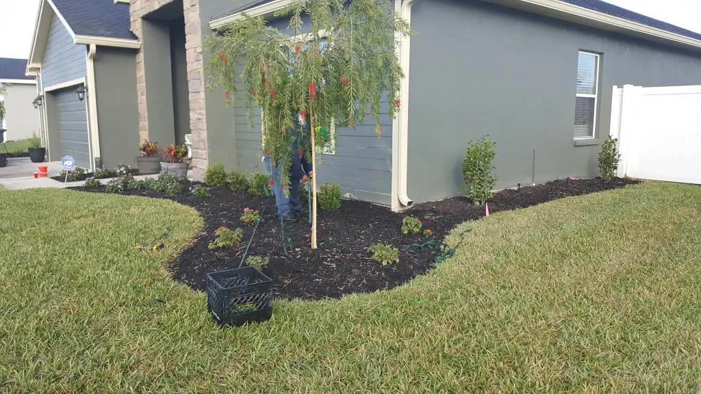 Landscaped garden with plants and mulch