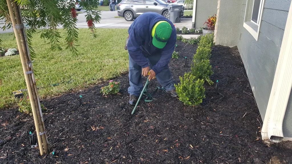Person gardening in landscaped area.