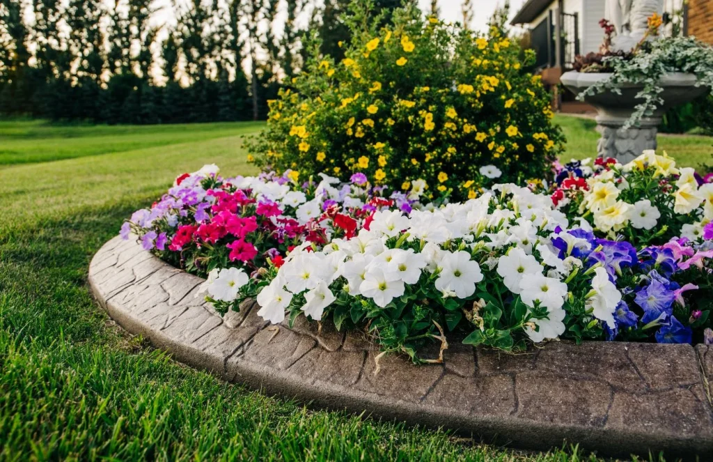 Concrete landscape curbing around colorful flower beds and green lawn