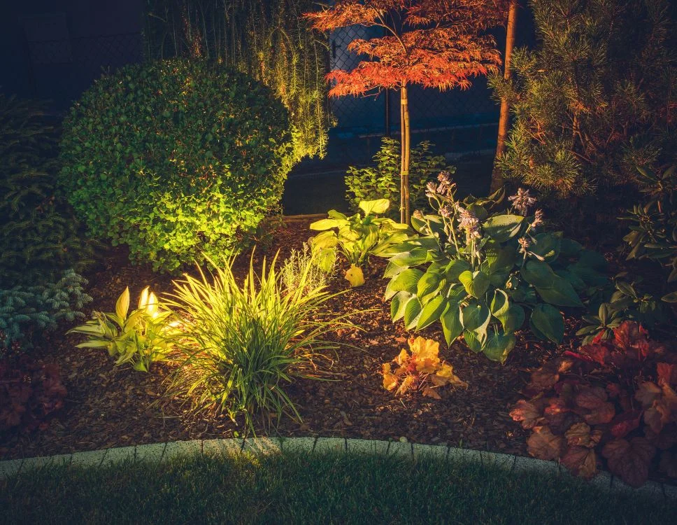 Warm landscape lighting illuminating shrubs, trees, and mulch beds at night